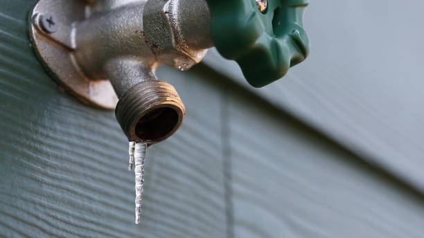 Best Drain Cleaning Services  in Kirbyville, TX